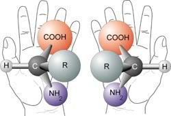 chirality CARBON hands