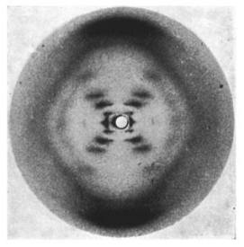 Photo_51_x-ray_diffraction Rosalind Franklin